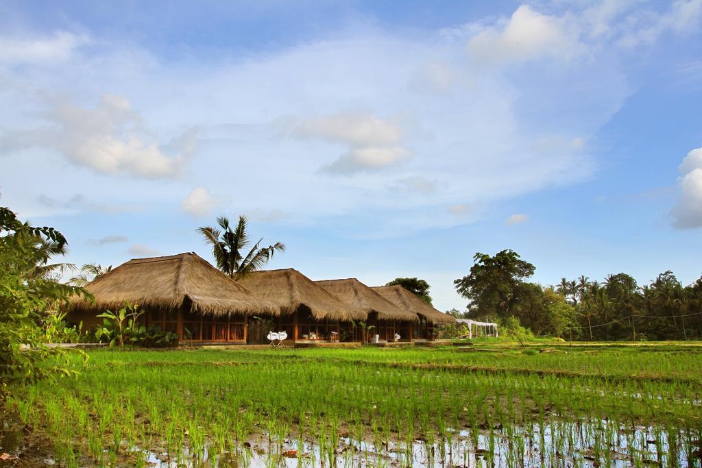 Sapulidi Resort Spa & Gallery Bali 우붓 외부 사진