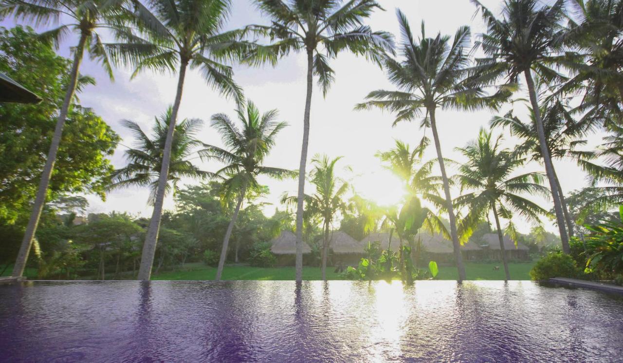 Sapulidi Resort Spa & Gallery Bali 우붓 외부 사진