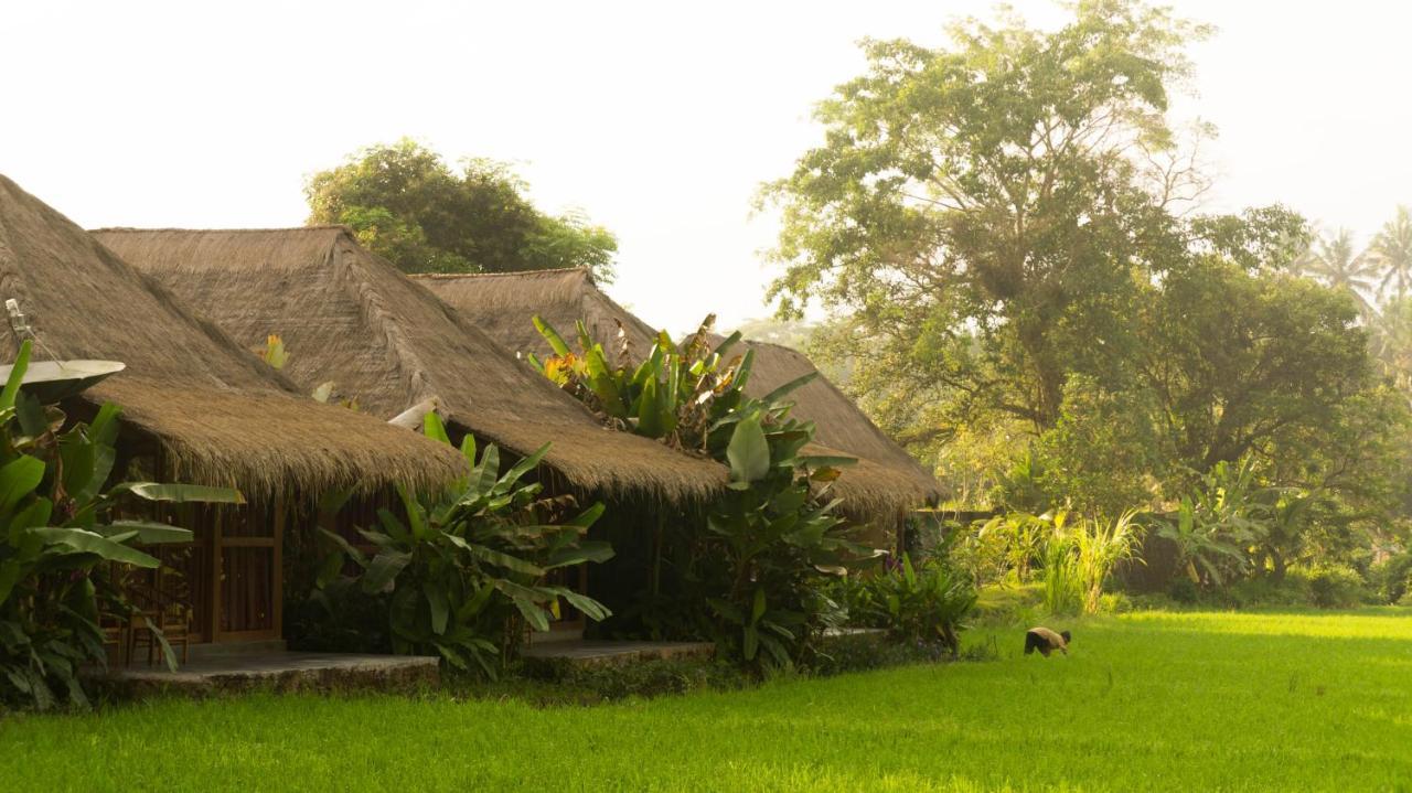 Sapulidi Resort Spa & Gallery Bali 우붓 외부 사진