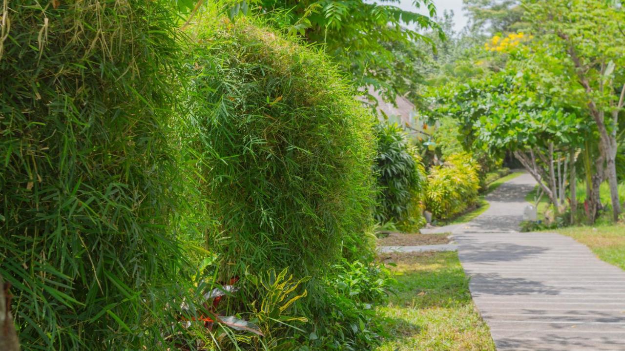 Sapulidi Resort Spa & Gallery Bali 우붓 외부 사진