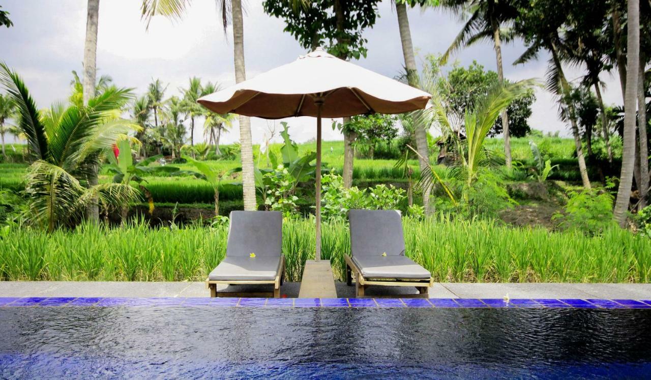 Sapulidi Resort Spa & Gallery Bali 우붓 외부 사진
